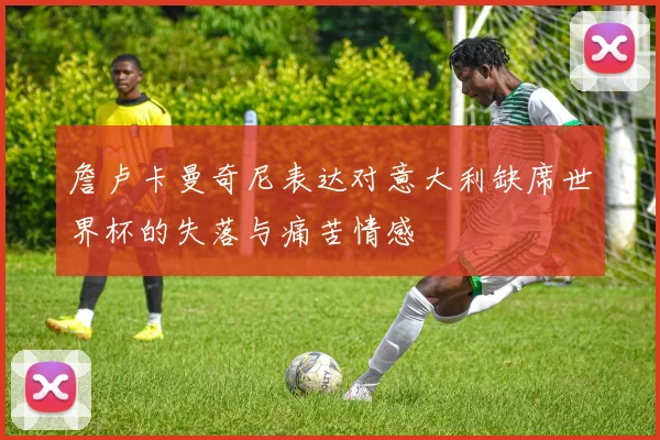 詹卢卡曼奇尼表达对意大利缺席世界杯的失落与痛苦情感